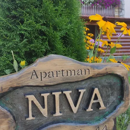 Niva